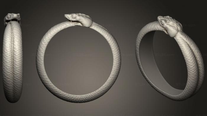 Jewelry rings (snake oroboros, JVLRP_0840) 3D models for cnc